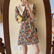 브리엘리 레트로 플라워 패턴 빅카라 미니 원피스