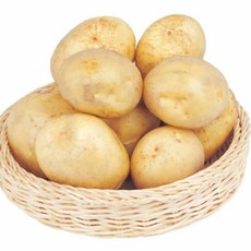 새우꽝감자꽝고구마꽝