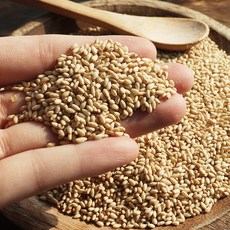 예랑햇살농장 유기농 (볶지않은)참깨 500g, 예랑햇살농장 유기농 참깨 500g