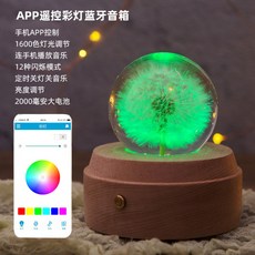 민들레 영생화 크리스탈 볼 오르골 세트 수정 구슬 생일 선물 인테리어 소품, 미디엄 APP 리모컨 블루투스 스피커 [충전형]