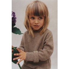 브라운도트행커치프