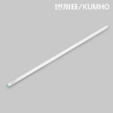 led직관