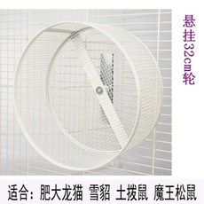 고슴도치 토끼 햄스터 쳇바퀴 러닝 휠 브래킷 메일 21cm 슈가 글라이더 다람쥐 페럿, 1개