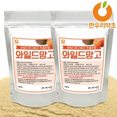 한우리약초 와일드망고씨앗가루 (종자추출분말), 100g, 2개