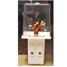 집에서키우는자연학습