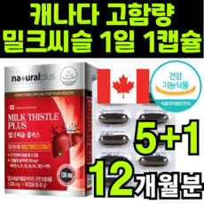저녁음주수치
