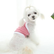 39a676d11aca2cbe9dae055a2af0dce804c6e71fbc91d67dba64a2466ae0.jpg