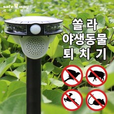 세이프웨이전기자전거