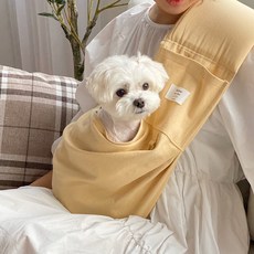 봉쥬르뚜뚜우비