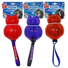 애견과함께하는페라글라이딩