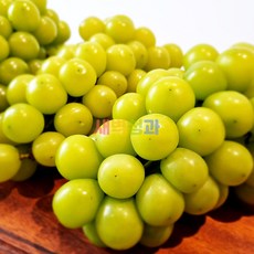 새벽청과 샤인메스캣, 1박스, 2kg