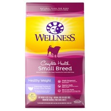 웰리힐리보드강습