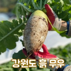 햇무