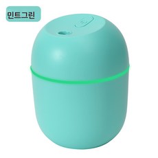 계란 가습기 가정용 안개량 침실 테이블 스프레이 미니 소형 차량용 가습기, 색깔4, 하나