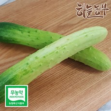 하늘농부 친환경 오이2입, 1개, 오이 2입