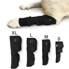 밸런스핏강아지