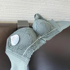빛과색의신비