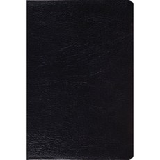 ESV 연구 성경 개인용 크기 (검은 색), 단일옵션