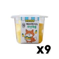 갓생청과 에브리띵 이즈 파인애플컵 과일컵 150g x 9개