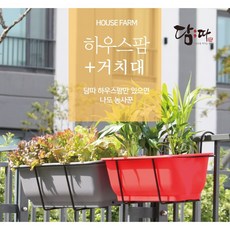 집에서상추키우기