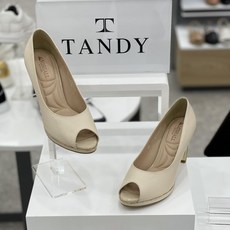 탠디가보시토오픈