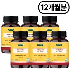 자생 커큐민 앤 바이오페린, 120정, 6개