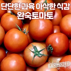 GAP 인증 정품 아삭하고 단단한 유럽종 완숙 토마토 3KG 5KG, 1개, 쥬스용 못난이5kg