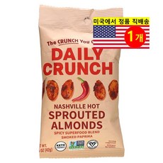 Daily Crunch 발아 아몬드 내슈빌 핫 42g 1개