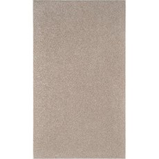 환경 브로드 웨이 컬렉션 애완 동물 친화적 인 지역 카펫 금속 4x 6  어두운 라이너 (4 x 6 With Non Slip Backing Beige)
