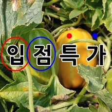 //상품명