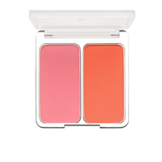 투에이엔듀얼치크