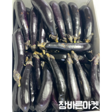 참바른농산 국내산 가지 특품 특상 못난이 채소 야채 5kg 1box