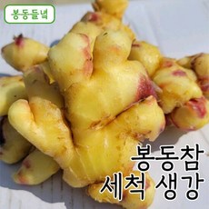 [봉동들녘]국내산 봉동참 세척 생강 5kg