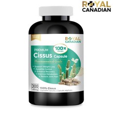 시서스 추출 100배 농축 600mg 300캡슐 (5개월) 프리미엄 cissus 캐나다 본사 직발송, 300정, 1개