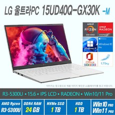 LG 울트라 PC 15UD40Q-GX30K +Win10 Pro / Win11 Pro 선택포함, 24GB, 2TB, AMD RYZEN 5300U, 화이트