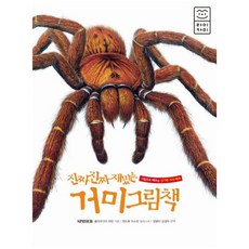 진짜 진짜 재밌는 거미 그림책:그림으로 배우는 신기한 지식 백과, 라이카미(부즈펌)
