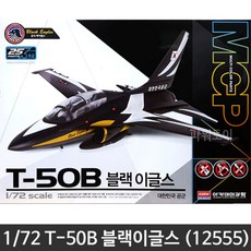 블랙이글스뱃지