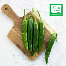 유기농 오이고추