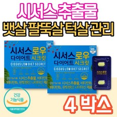 [정품발송] 콜마비앤에이치 식약처인증 시서스다이어트 중년 남성 뱃살 피하 내장지방 탄수화물 컷팅제 똥배 술배 빼는 475792, 4개