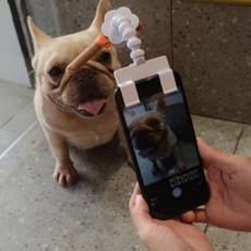 강블리셀카봉