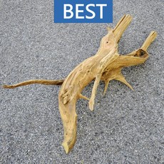 유목 대형 126cm 국산, 1개