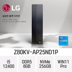 LG 슬림 데스크탑 Z80KV-AP25ND1P *CPU i5-13400 무상업그레이드 출고*, 256GB, 8GB, WIN11 Pro