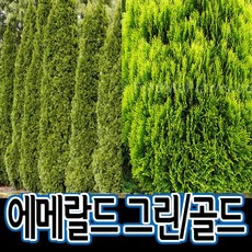 8c217dc4074b2ce98f82b48c497643796919ecd0ec286bcf476e2e28fabf.jpg