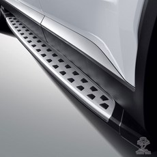 팰리세이드튜익스사이드스텝