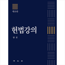 헌법학개론