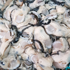 방금 조업한 통영 생굴 굴 석화 김장 프리미엄 a raw oyster 1kg, 1세트, 통영 생굴1kg(중 사이즈) 횟감가능