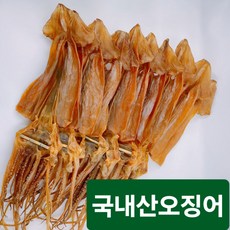 (특가판매) 오징어/10마리/마른오징어 쫄쫄이 오징어 건오징어, 1개, 550g(10마리)