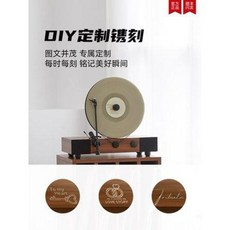 세네시오아이비