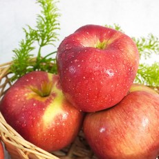 더조은 경북 홍로 사과 가정용 2kg 10-13과, 단품