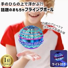 부메랑비행볼